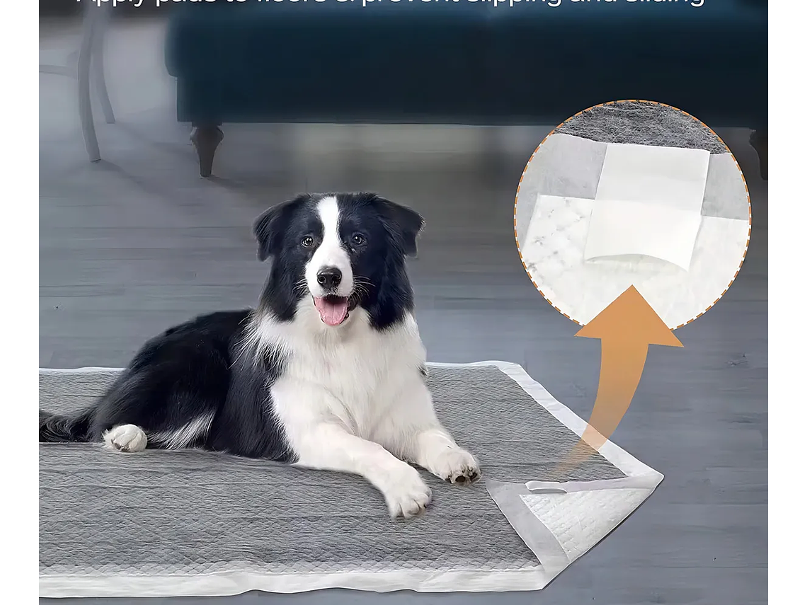 Sloarapets 60x60 Pañales Mascotas Carbón Activado 100 Un 2