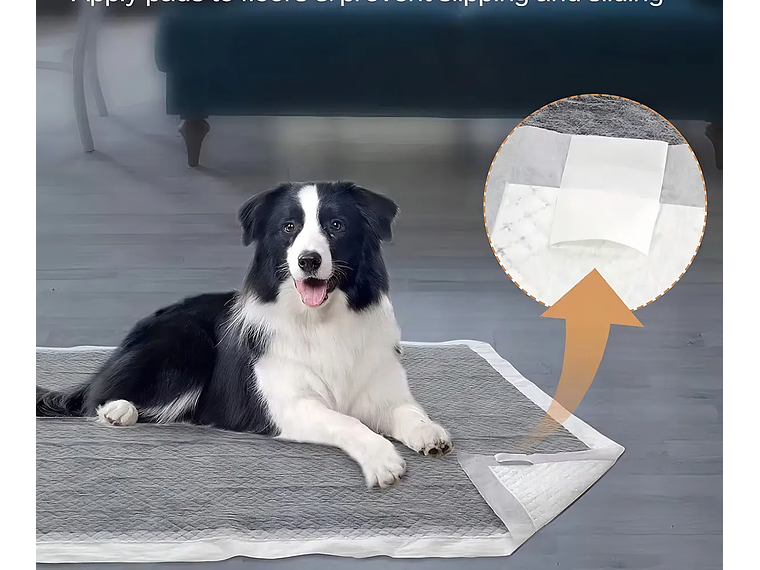 Sloarapets 60x60 Pañales Mascotas Carbón Activado 100 Un 2