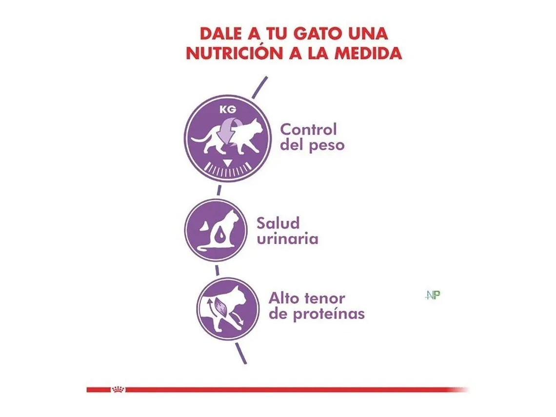 Alimento Royal Canin Feline Health Nutrition Sterilised 37 para gato adulto sabor mix de 4 kg 3