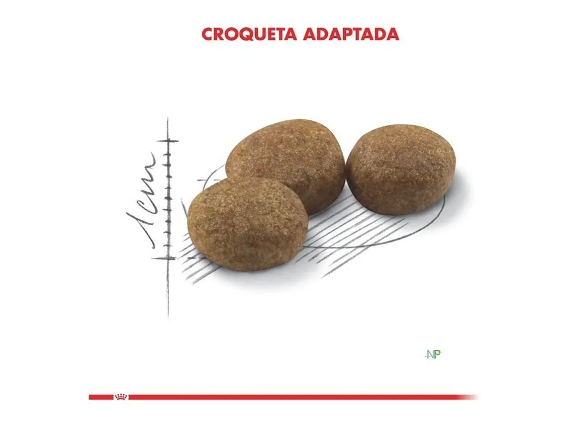 Alimento Royal Canin Feline Health Nutrition Sterilised 37 para gato adulto sabor mix de 4 kg 4