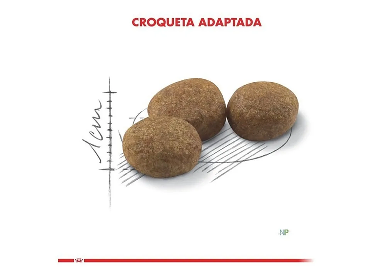 Alimento Royal Canin Feline Health Nutrition Sterilised 37 para gato adulto sabor mix de 4 kg 4