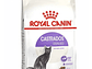 Alimento Royal Canin Feline Health Nutrition Sterilised 37 para gato adulto sabor mix de 4 kg - Miniatura 2