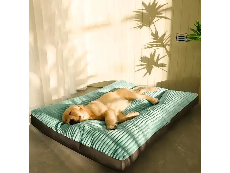 Cama Petchi XL Perros Grandes Almohadón Verde Lima 120x90cm Tela Ultra Suave Y Sedosa Reforzada 3
