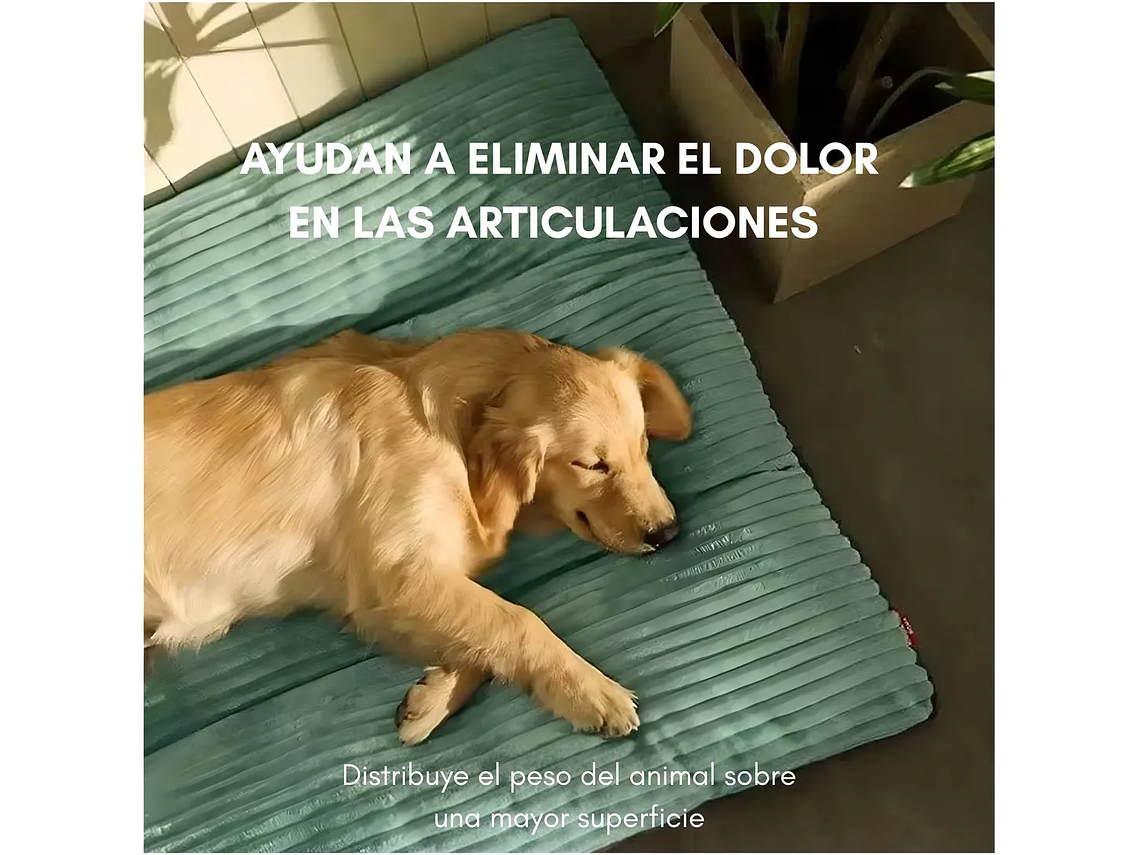 Cama Petchi XL Perros Grandes Almohadón Verde Lima 120x90cm Tela Ultra Suave Y Sedosa Reforzada 4