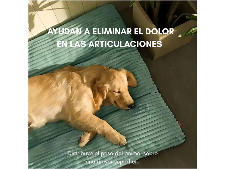 Cama Petchi XL Perros Grandes Almohadón Verde Lima 120x90cm Tela Ultra Suave Y Sedosa Reforzada 4