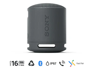 Parlante Inalámbrico Portátil Srs-xb100 Negro Sony