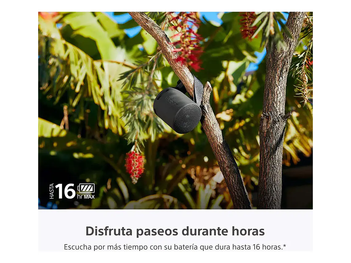 Parlante Inalámbrico Portátil Srs-xb100 Negro Sony 3