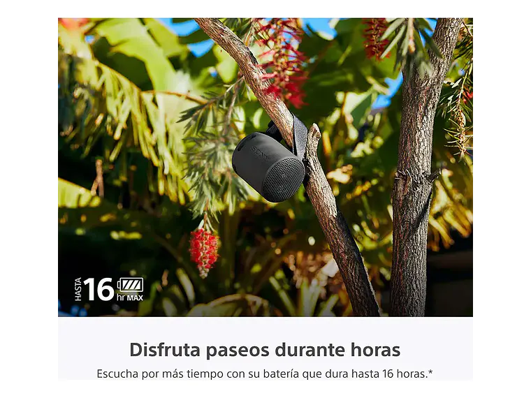 Parlante Inalámbrico Portátil Srs-xb100 Negro Sony 3