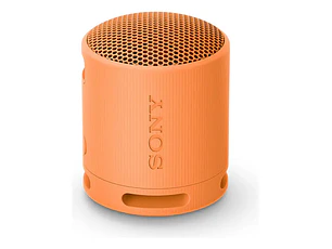 Parlante Inalámbrico Portátil Srs-xb100 Naranjo Sony