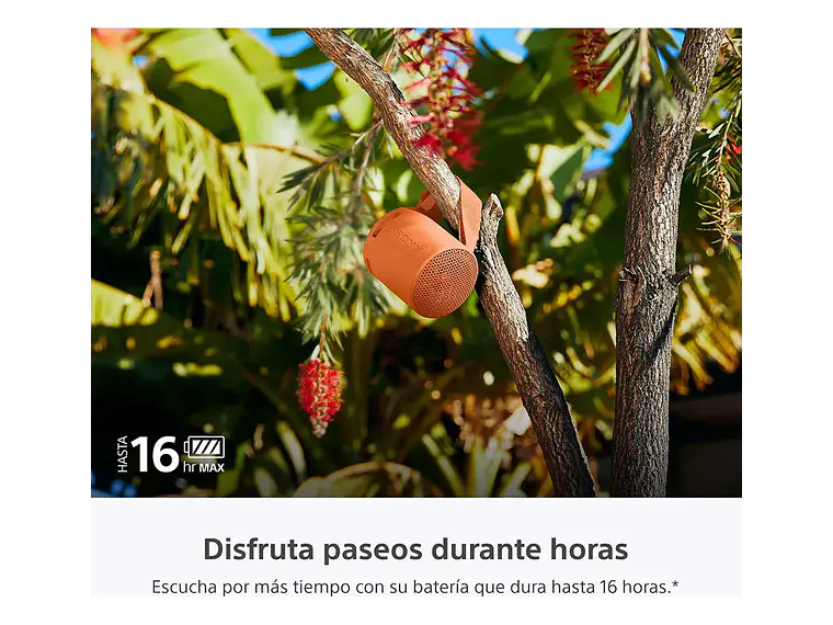 Parlante Inalámbrico Portátil Srs-xb100 Naranjo Sony 3