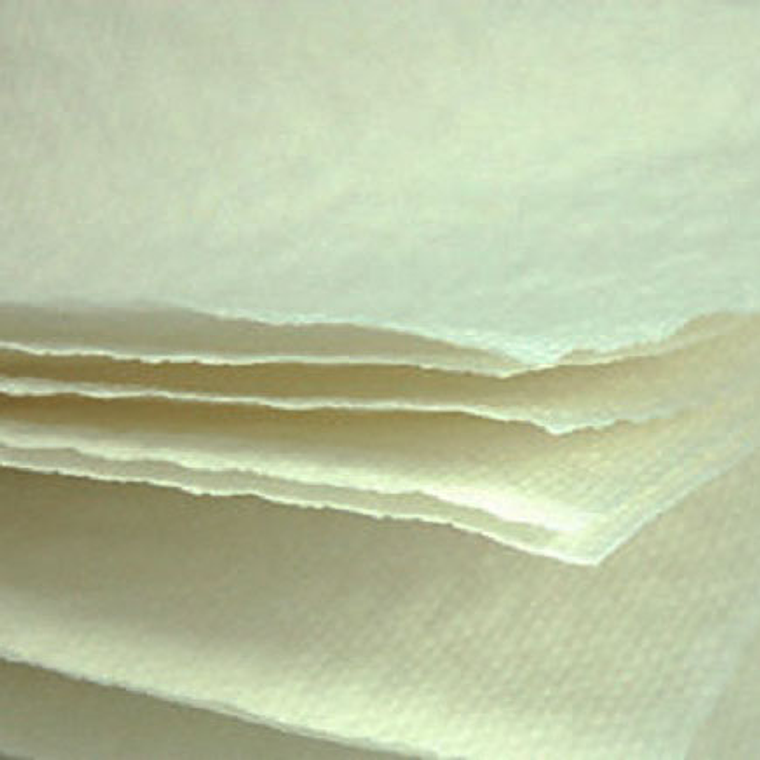 1.000 Toallas Absorbe Fluidos Celulosa 30 x 40 cm 3