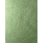 Pack Paños Abrasivos Verde 30 x 30 cm. 10 unidades 3