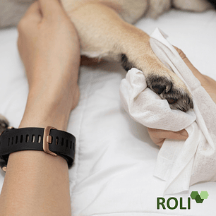 100 Toallas Desechables Mascota  40x50cm 