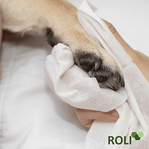 20 Toallas Desechables Mascota Grande 50x140cm 