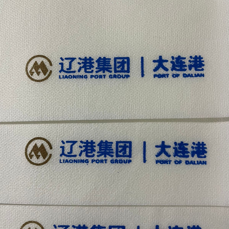 500 Servilletas Airlaid Blanca  Impresa 2 Colores 33x33 cm  6