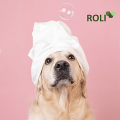 100 Toallas Desechables Mascota 75x100 cm Spunlace