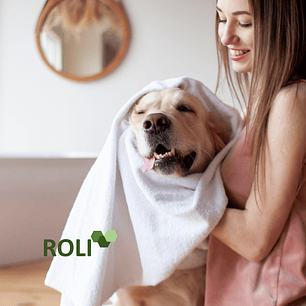 100 Toallas Desechables Mascota 75x100 cm Spunlace