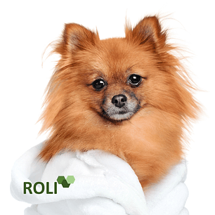 100 Toallas de Desechables Mascota Extra Grande 40x140 cm.-