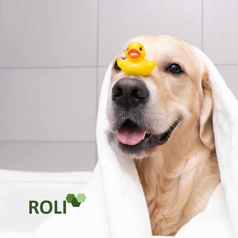 100 Toallas de Desechables Mascota Extra Grande 40x140 cm.- 3