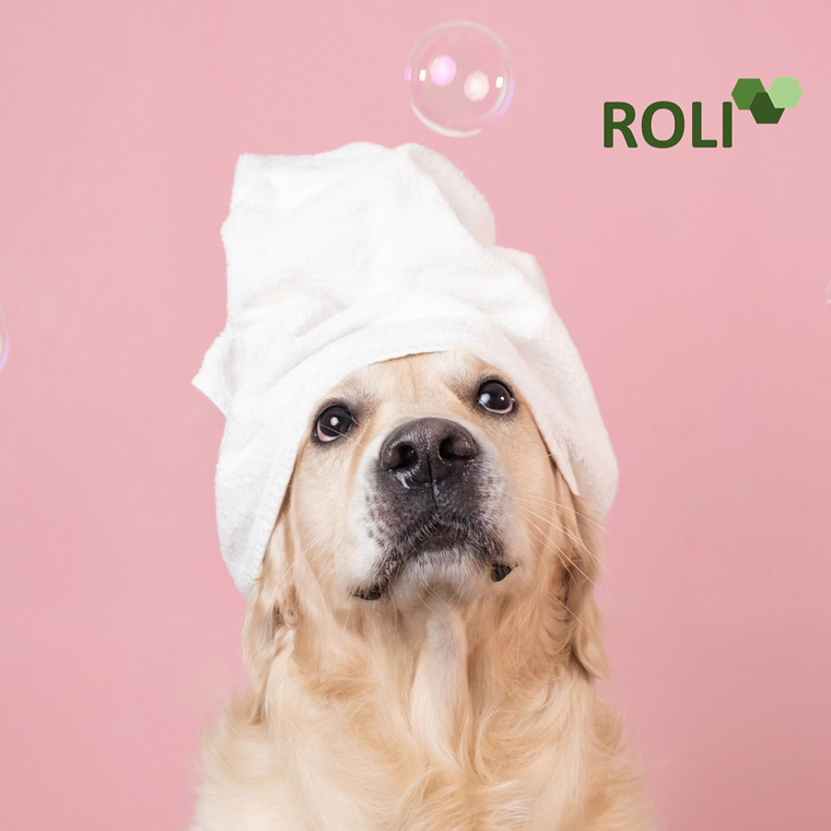 100 Toallas de Desechables Mascota Extra Grande 40x140 cm.- 6