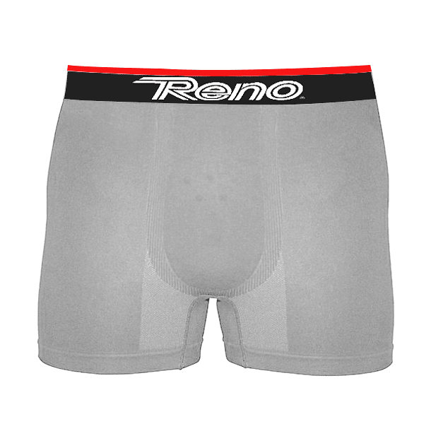 Boxer Reno hockey 3