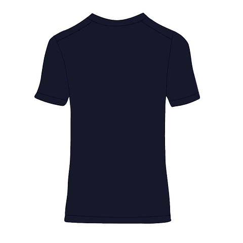 Polera de entranamiento azul