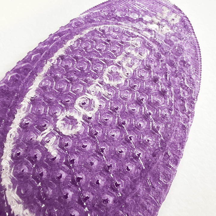 Plantilla Técnica Patinaje Artístico 9