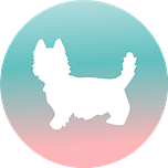 Logo de Rollito Papelería