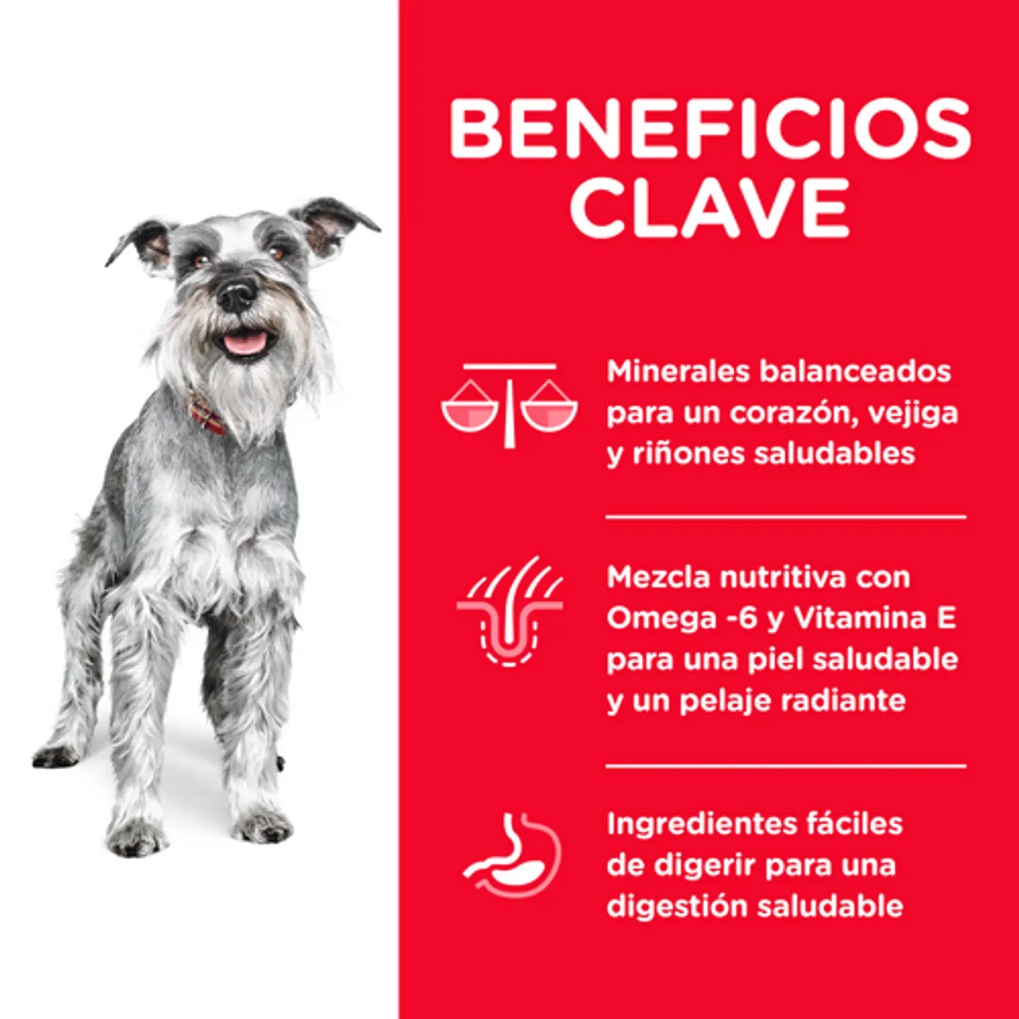Hill's Science Diet Small Paws Adulto 7+ 2.04 Kg 4