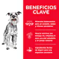 Hill's Science Diet Small Paws Adulto 7+ 2.04 Kg - Miniatura 4