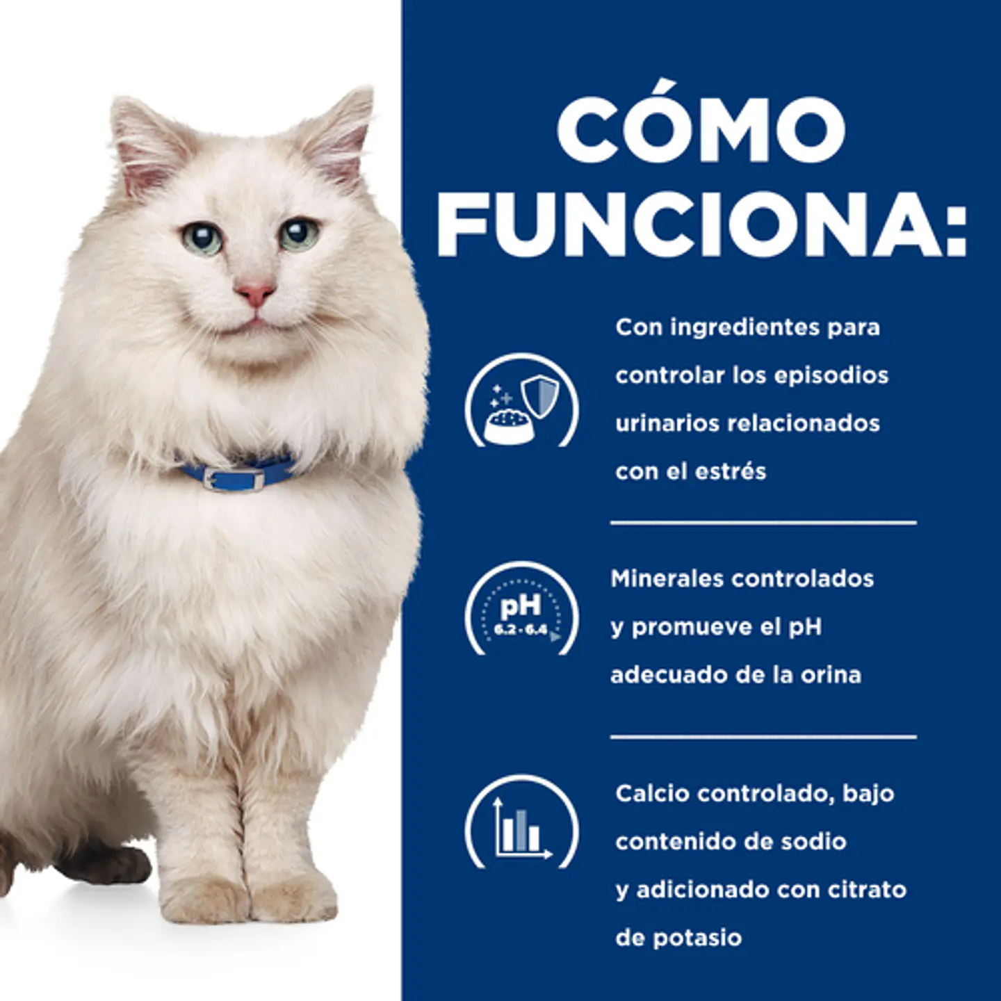 Hill's c/d Multicare Stress Cuidado Urinario para Gatos 1.81 kg 4