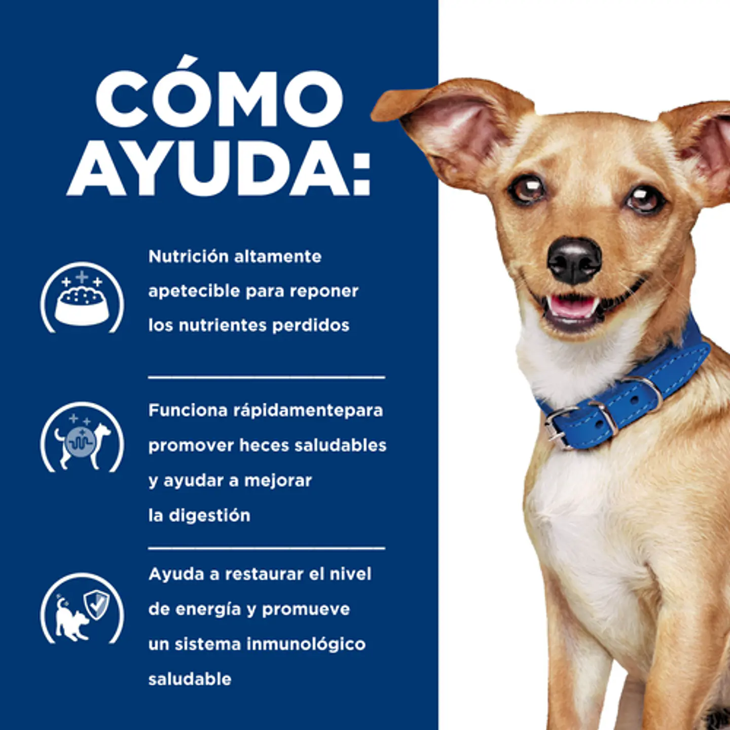Hill’s Prescription Diet i/d Small Bites Perros Adultos 3
