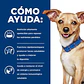 Hill’s Prescription Diet i/d Small Bites Perros Adultos - Miniatura 3