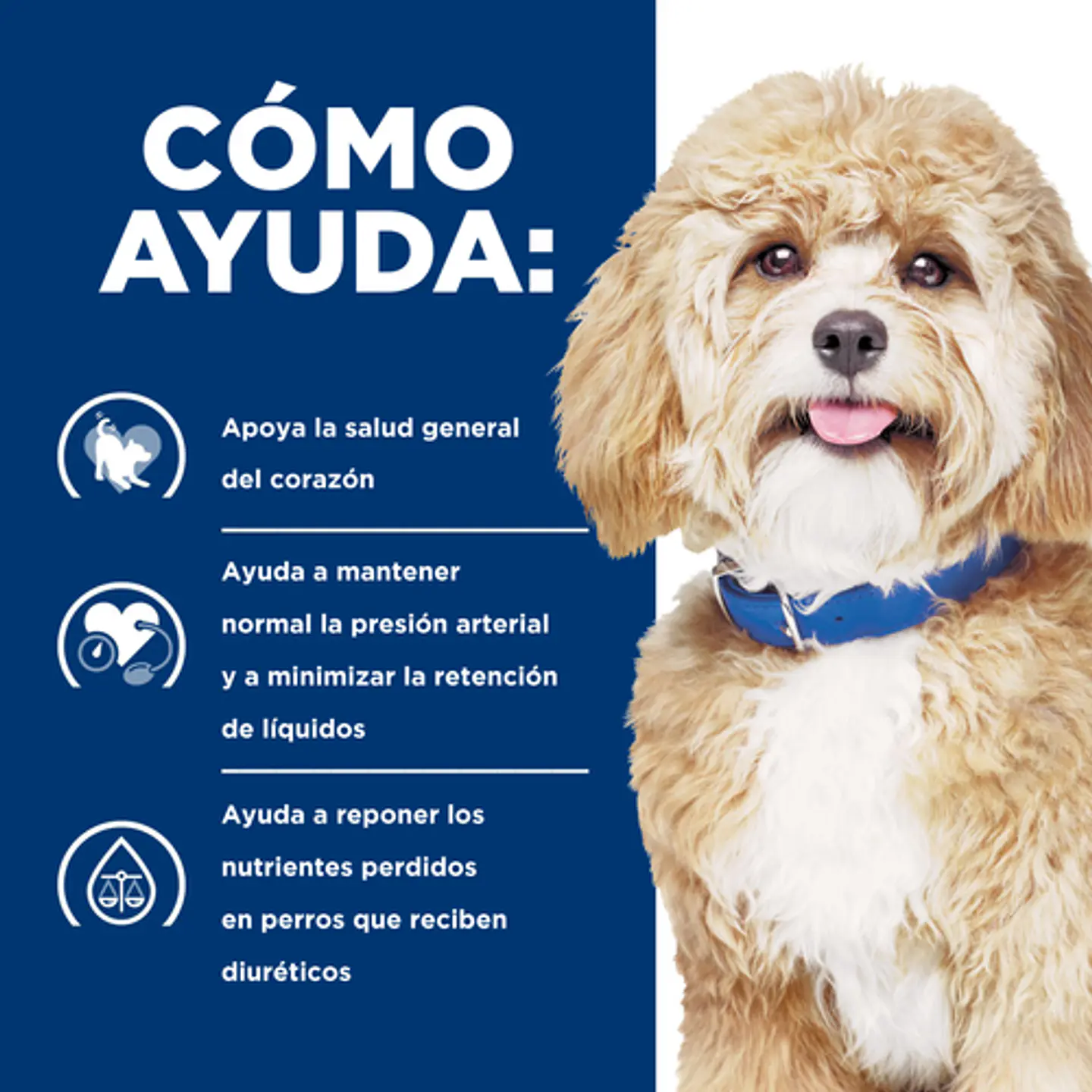 Hill’s Prescription Diet h/d Cuidado Cardiaco Perro 2
