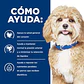 Hill’s Prescription Diet h/d Cuidado Cardiaco Perro - Miniatura 2