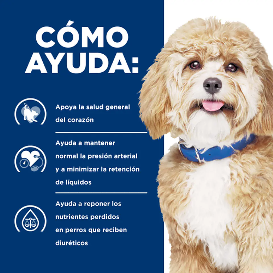 Hill’s Prescription Diet h/d Cuidado Cardiaco Perro 2