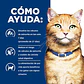Hill's PD c/d Multicare 1.8kg Cuidado Urinario Gato - Miniatura 3