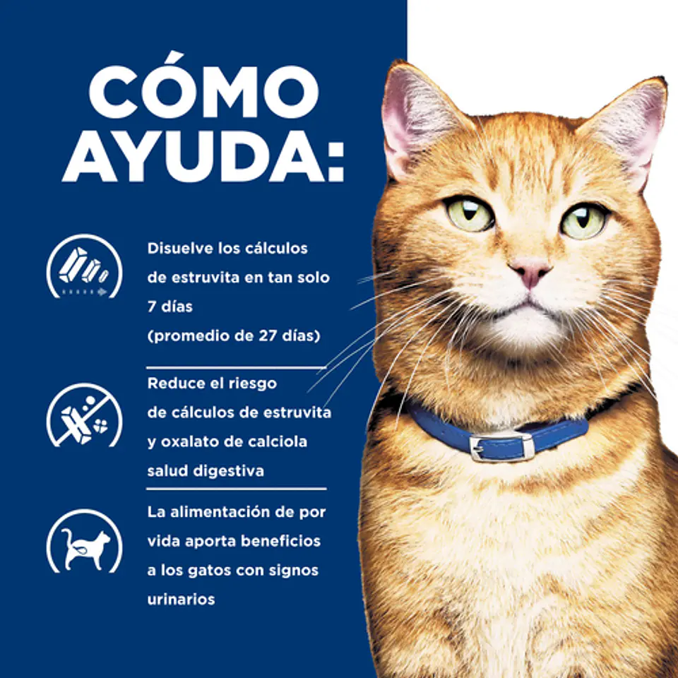 Hill's PD c/d Multicare 1.8kg Cuidado Urinario Gato 3