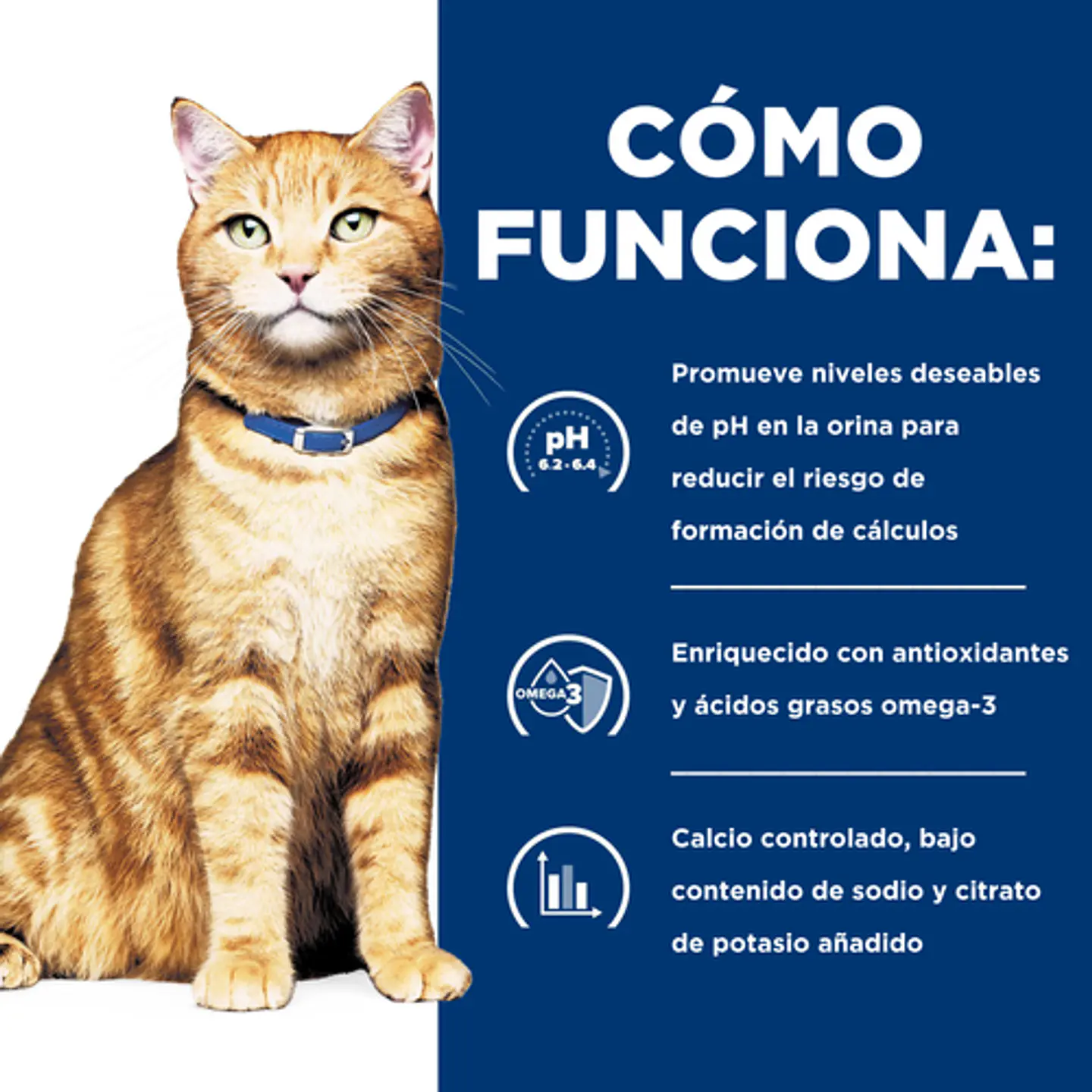 Hill's PD c/d Multicare 1.8kg Cuidado Urinario Gato 4