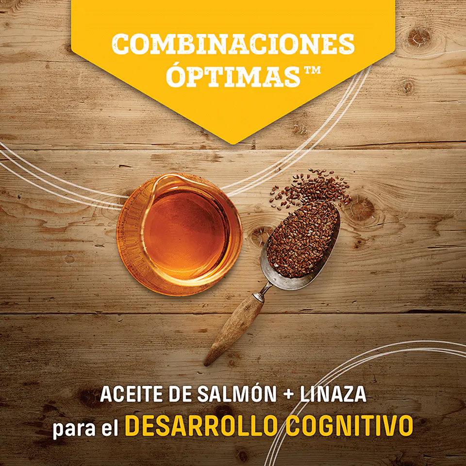 Nutram S7 Small Breed Adult 2Kg Razas Pequeñas  4