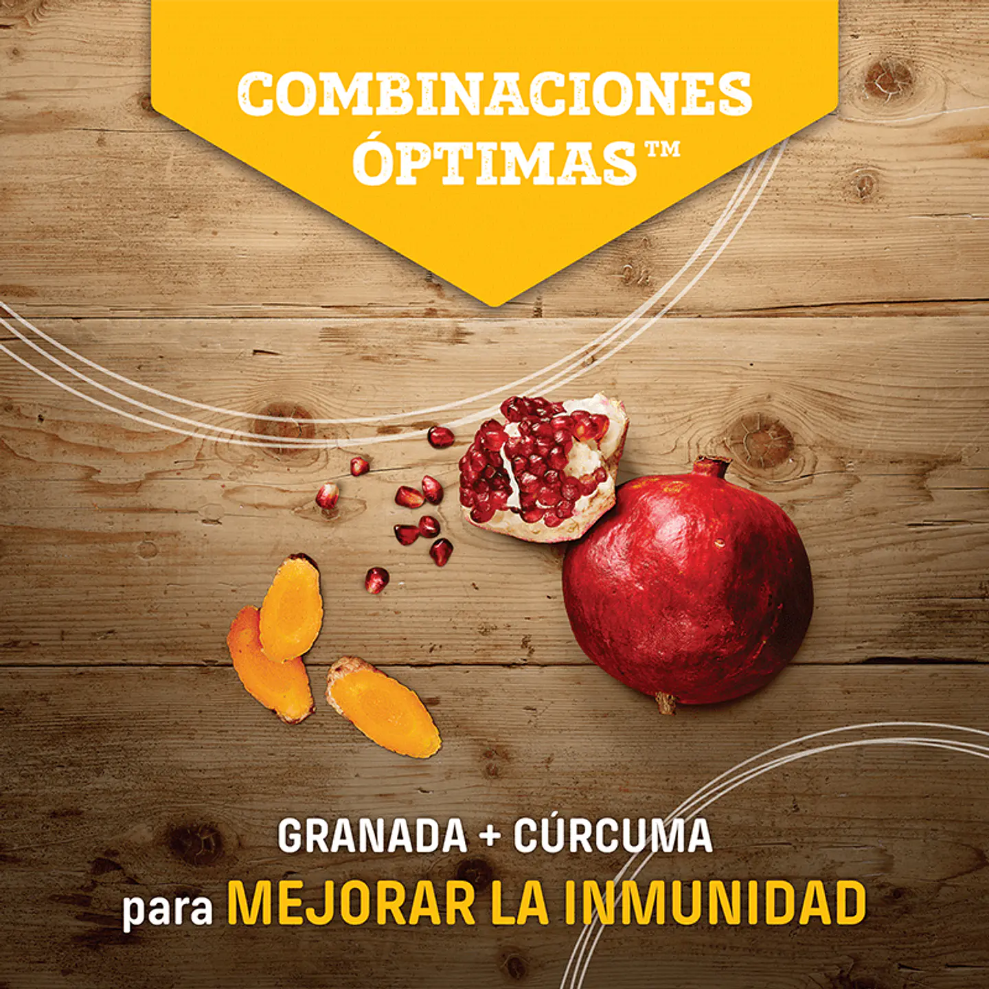 Nutram S7 Small Breed Adult 2Kg Razas Pequeñas  5