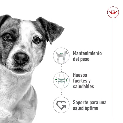Royal Canin Mini Adult 4Kg Alimento Perro Pequeño