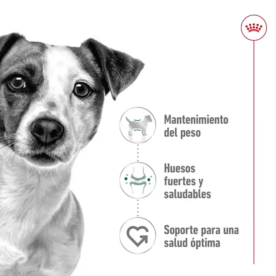 Royal Canin Mini Adult 4Kg Alimento Perro Pequeño 2