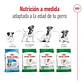 Royal Canin Mini Adult 4Kg Alimento Perro Pequeño - Miniatura 3