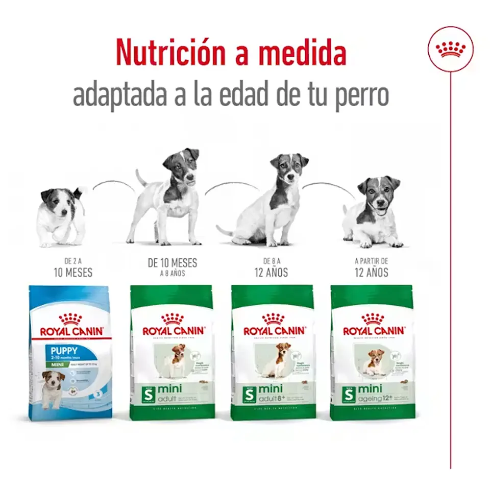 Royal Canin Mini Adult 4Kg Alimento Perro Pequeño 3