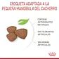 Royal Canin Mini Puppy 4Kg Alimento Cachorro Mini - Miniatura 3