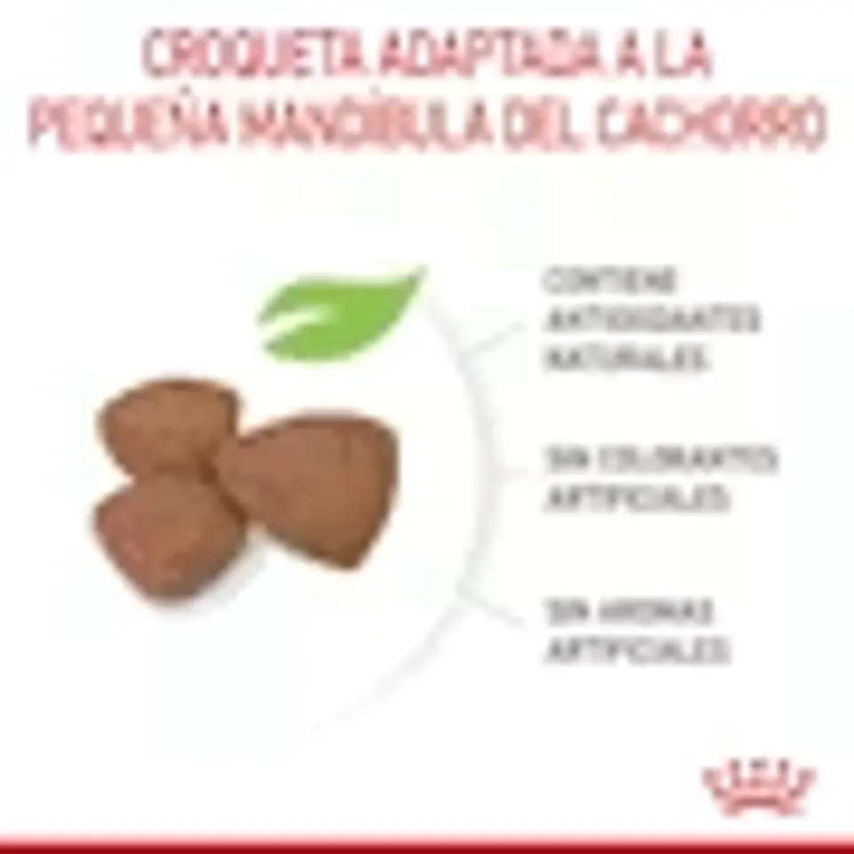 Royal Canin Mini Puppy 4Kg Alimento Cachorro Mini 3