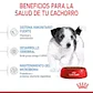 Royal Canin Mini Puppy 4Kg Alimento Cachorro Mini - Miniatura 4