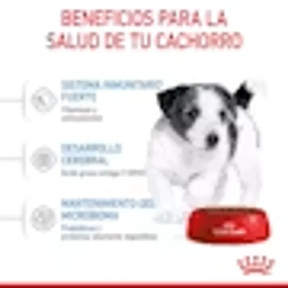 Royal Canin Mini Puppy 4Kg Alimento Cachorro Mini 4