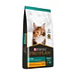 Pro Plan Kitten 1.5 Kg Gatitos Nutrición Premium - Miniatura 1
